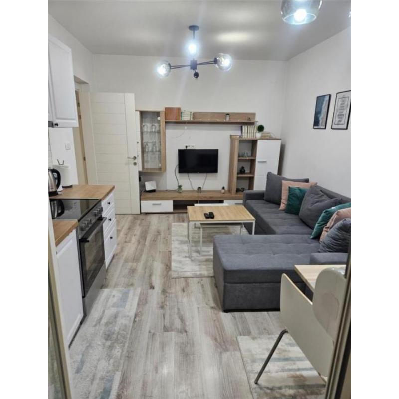 Renoviran Stan vo Kumanovo 44m2