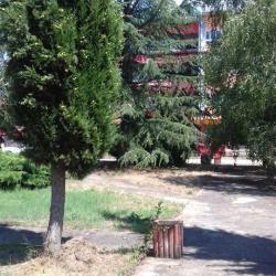 Детско одморалиште Мите Богоевски во Претор