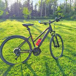 SCOTT Sub Cross Velosiped