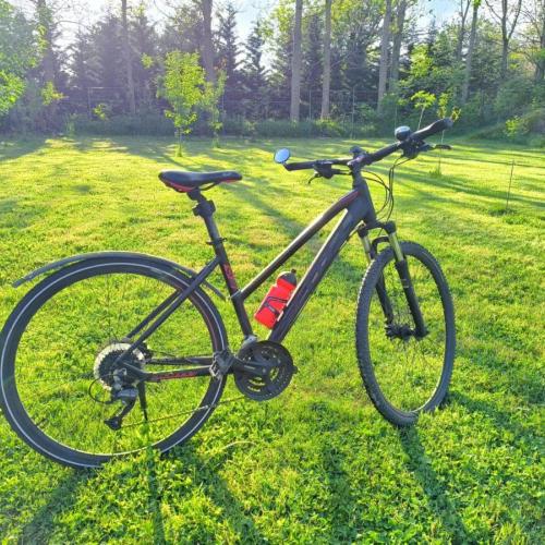 SCOTT Sub Cross Velosiped