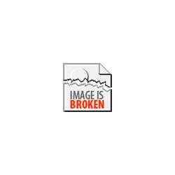 Ford Fiesta 1.2 (82ks) 2015 godina