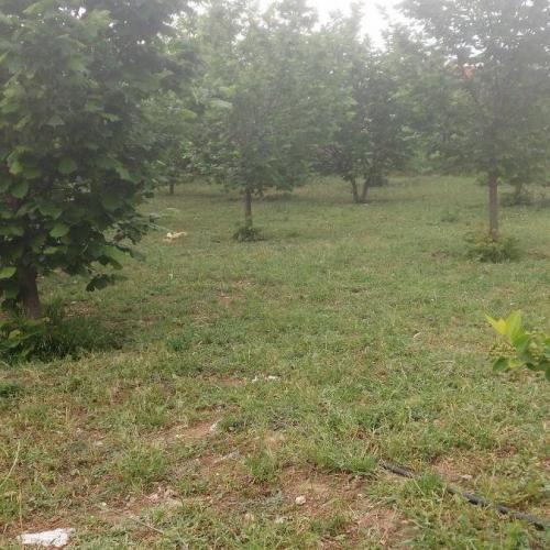 Se prodava plac 800m2 Lisice so imoten list