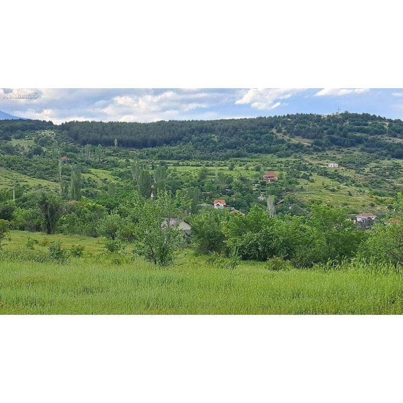 Plac vo Selo Kuckovo / Кучково