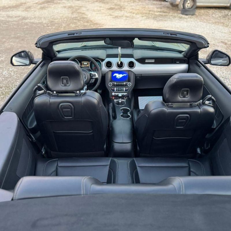 MUSTANG CABRIO