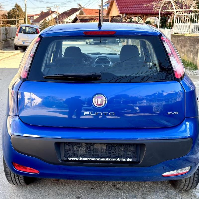 PUNTO 2011 Carineto