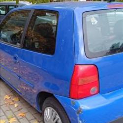 Lupo